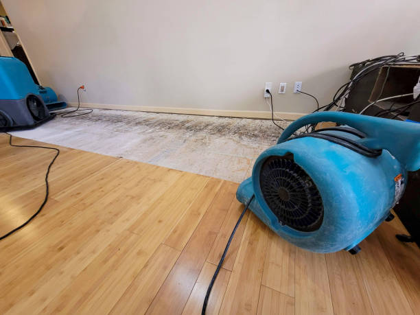 Professional Sewage Cleanup technician working in Longbranch, WA